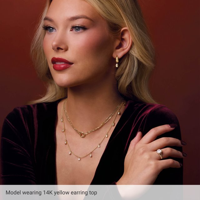 
                  
                    14K Yellow Puffed Lever Back Earring Top
                  
                