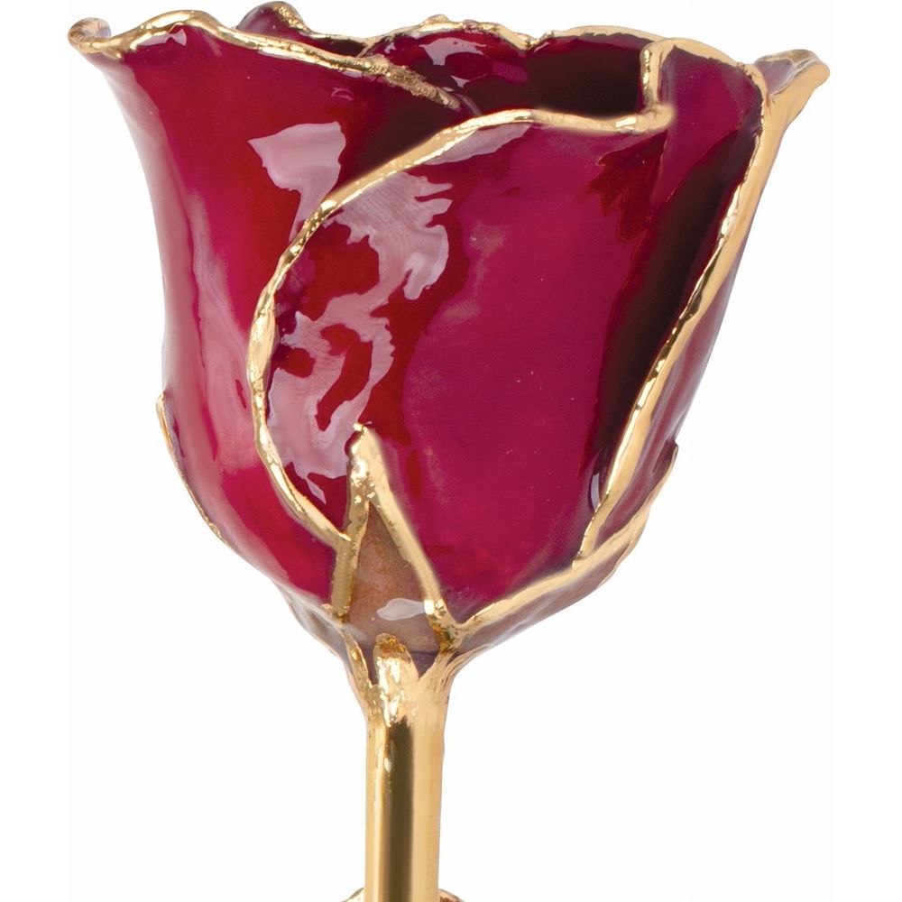 
                  
                    24k Gold Trimmed Birthstone Roses
                  
                