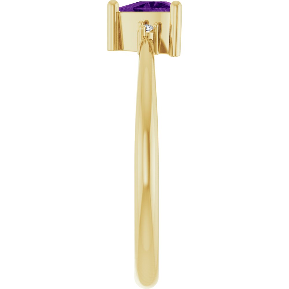 
                  
                    14K Yellow Natural Amethyst & .015 CTW Natural Diamond Ring
                  
                