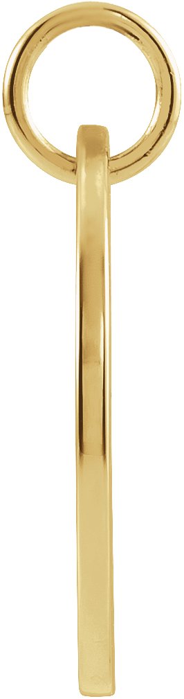 14K Yellow Gold 16.5 mm Scorpio Zodiac Disc Charm/Pendant