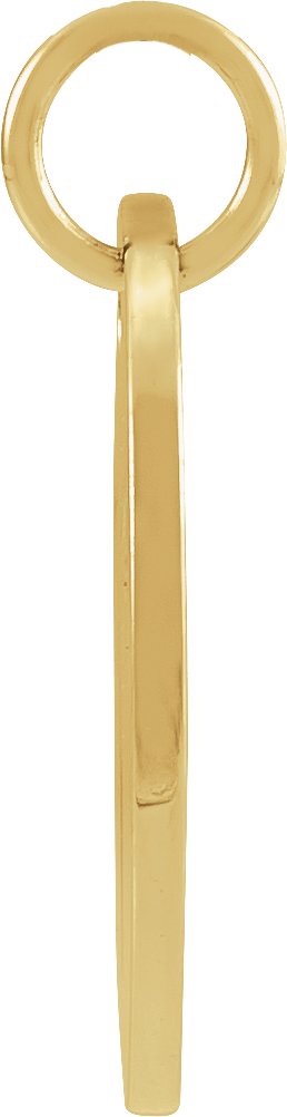 14K Yellow Gold 16.5 mm Aries Zodiac Disc Charm/Pendant