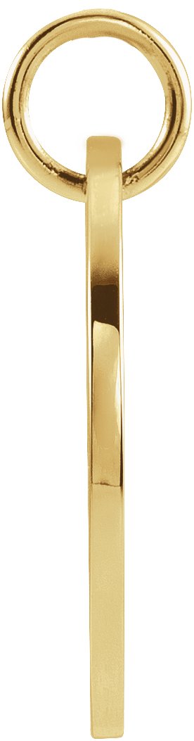 14K Yellow Gold 16.5 mm Pisces Zodiac Disc Charm/Pendant