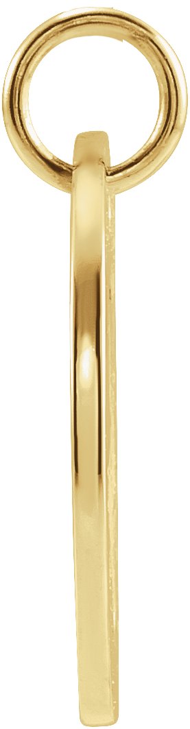 14K Yellow Gold 16.5 mm Leo Zodiac Disc Charm/Pendant