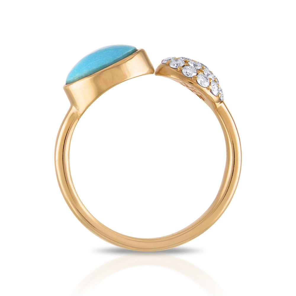 Sleeping Beauty Turquoise Champagne Bubble