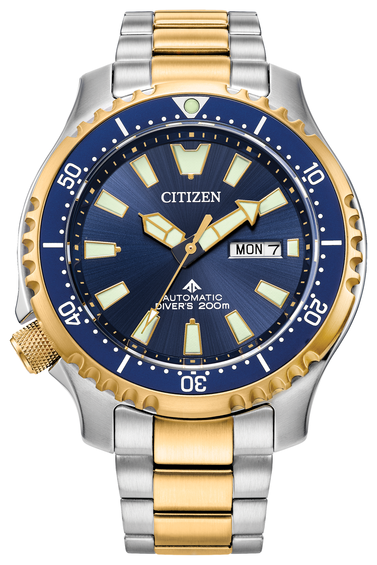 Citizen Promaster Dive Automatic NY0154-51L