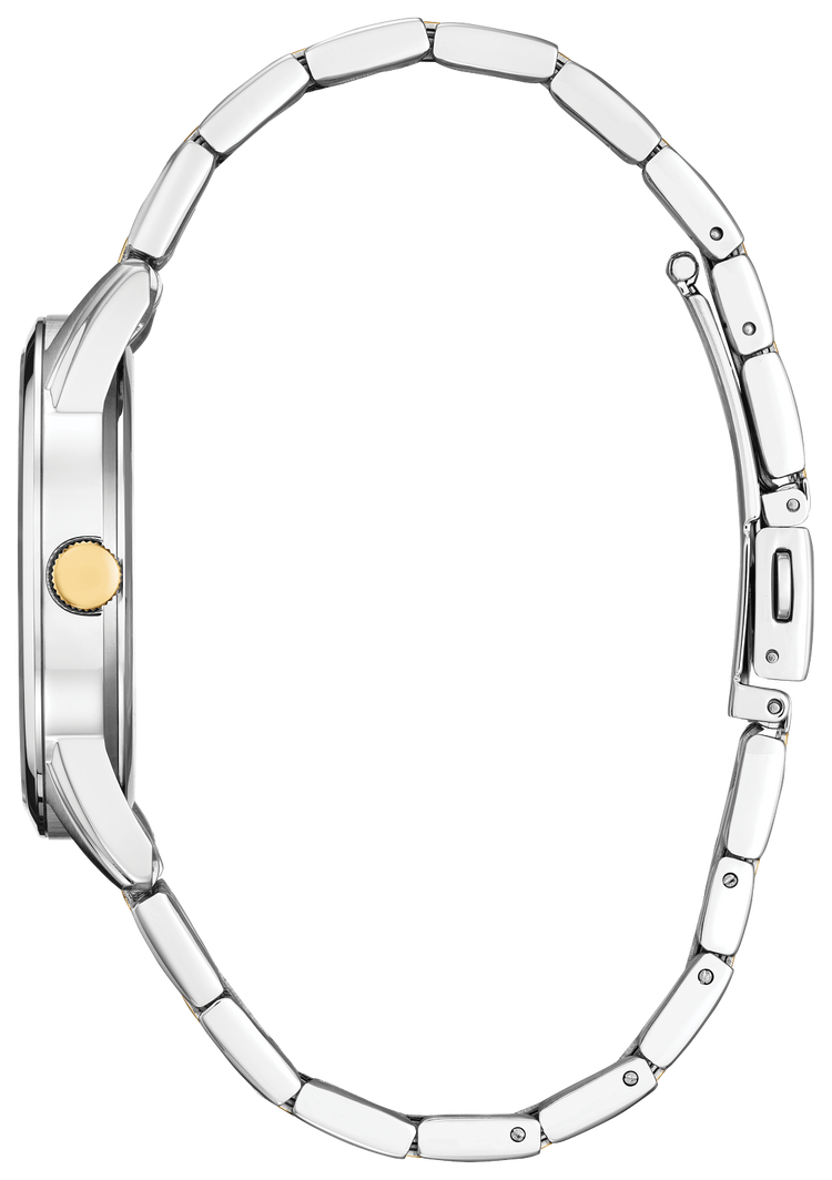 Citizen Classic BI5134-56E — view 3